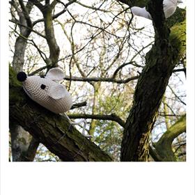 Muis in de boom.