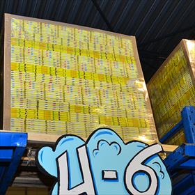 20.000 exemplaren van Wat een feest! liggen klaar voor de verjaardagsboxen. Opdat er voor kinderen uit echt arme gezinnen ook feest kan zijn.