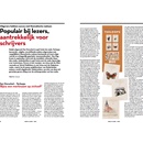 Populair bij lezers, aantrekkelijk voor schrijvers. Uitgevers hebben succes met thematische reeksen