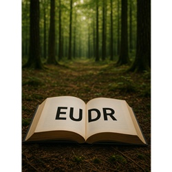 Ontbossing of ontlezing?