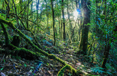 Boeken definitief uitgezonderd van de EUDR