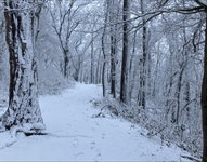 Sneeuw verstoort boekdistributie