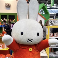 Twee Diamanten Boeken voor nijntje