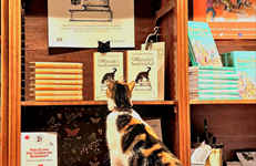 De boekhandel als decor van populaire fictie