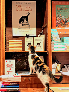 De boekhandel als decor van populaire fictie